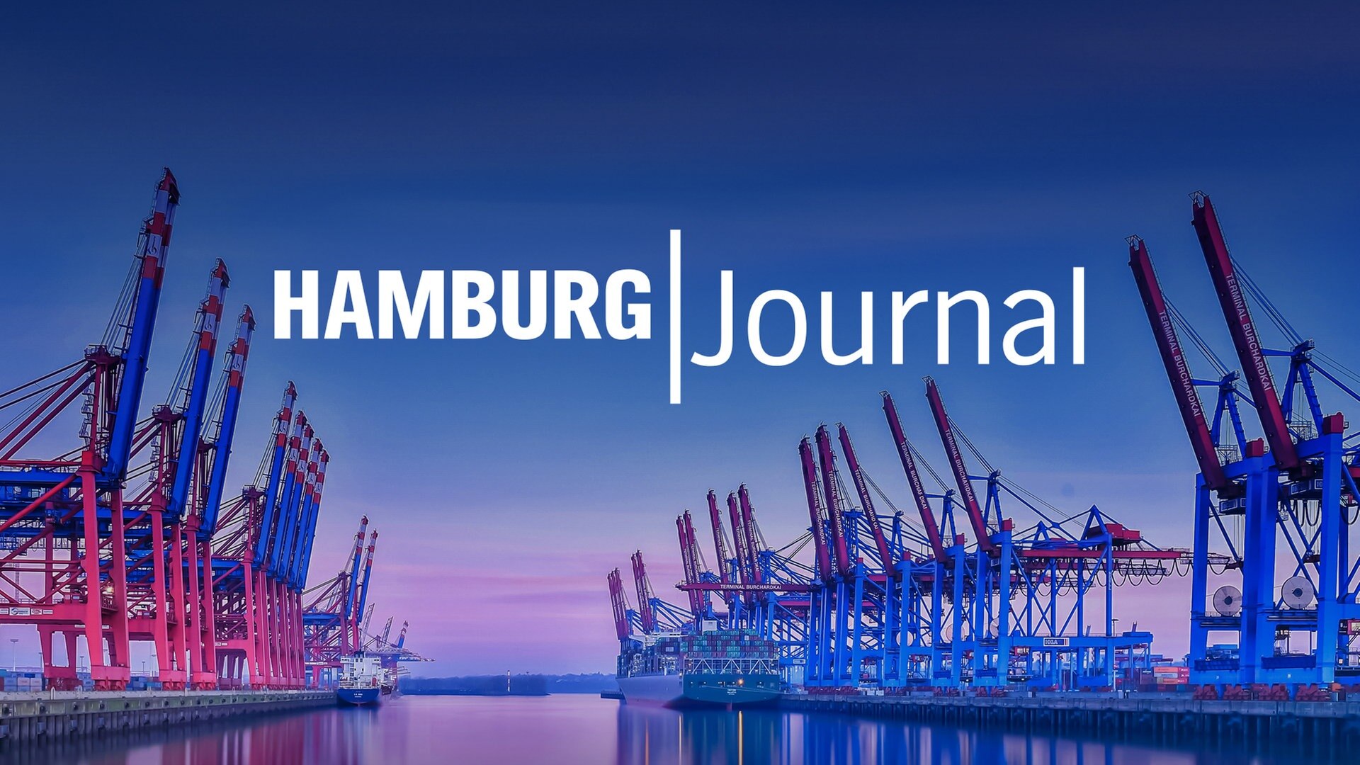 Hamburg Journal Videos der Sendung ARD Mediathek