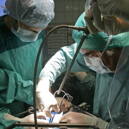 Ärzte entnehmen im Klinikum Jena eine Spenderniere