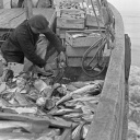 Hochseefischerei - Geschichte einer Industrie zu See