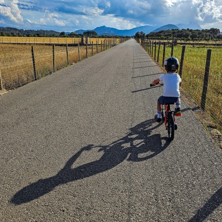 Ein Kind fährt mit dem Fahrrad durch eine Landschaft mit Wiesen und Feldern