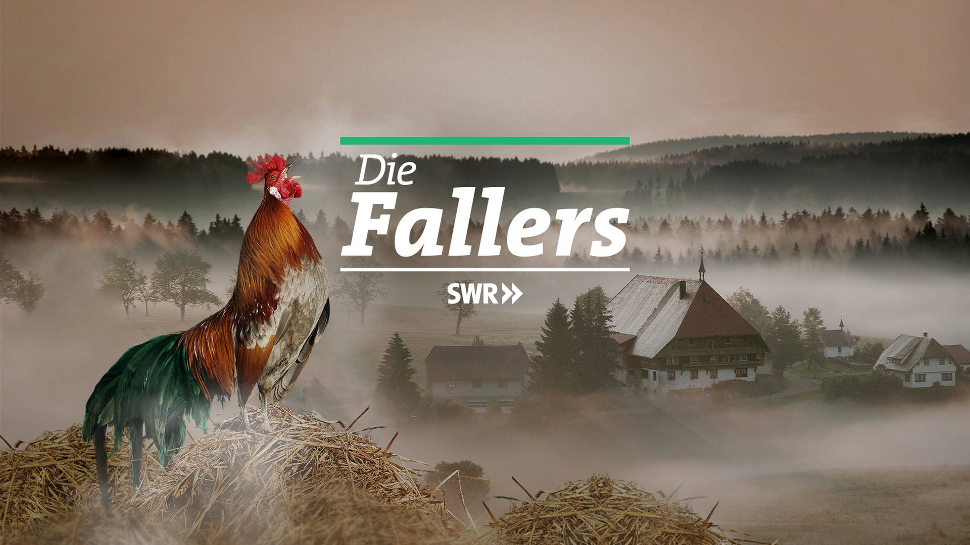 Die Fallers Videos der Sendung ARD