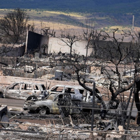 USA, Lahaina: Ausgebrannte Häuser und Autos.