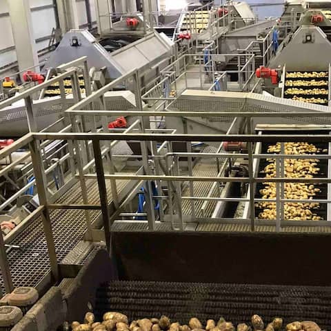 In der Produktion von Wernsing. Die Kartoffeln werden für die Weiterverarbeitung gewaschen.