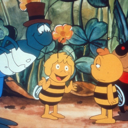 Die Biene Maja, Zeichentrickserie