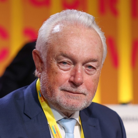 Wolfgang Kubicki, FDP-Vize