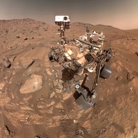 Perseverance Rover