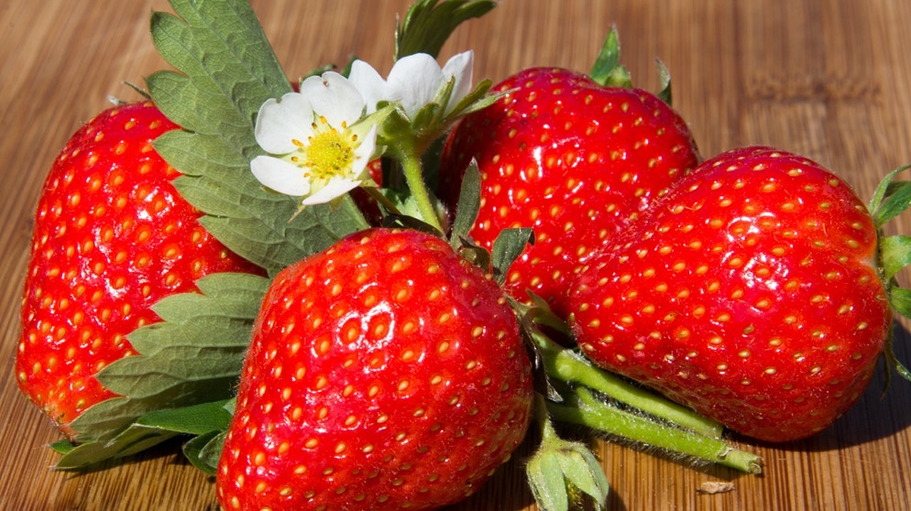Erdbeeren | Pflanzliche Luftreiniger | Erdmiete