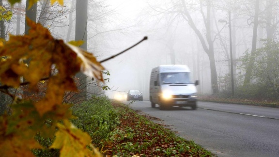 Morgenmagazin - Service: Verkehrsunfälle Im Herbst