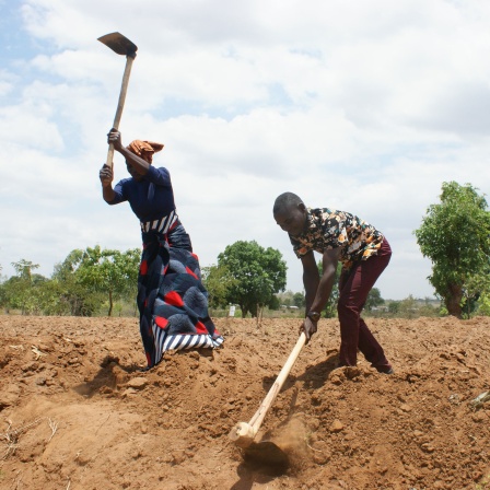 zwei Personen auf Acker