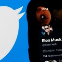 Elon Musks Twitter Profil auf einem Smartphone, daneben das Logo von Twitter