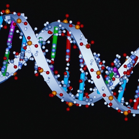 Schema eines DNA-Strangs