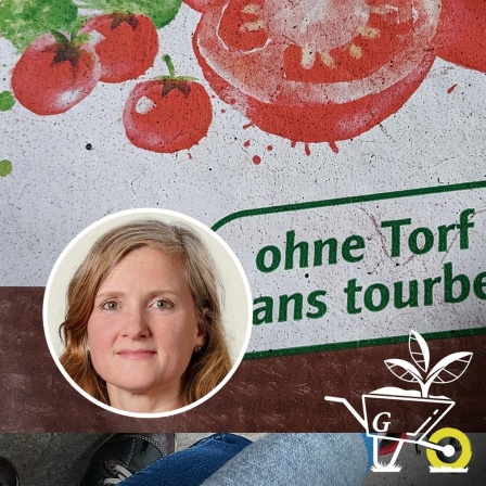 #59 Gärtnern ohne Torf