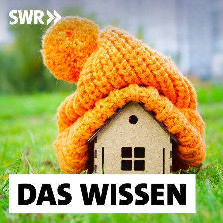 Modellhaus mit Wollmütze, Text "Das Wissen"
