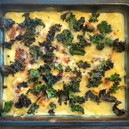 Kartoffelgratin mit geröstetem Grünkohlblättern